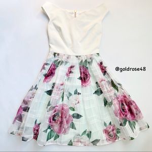 Ted Baker London Licious Magnificent Bardot dress